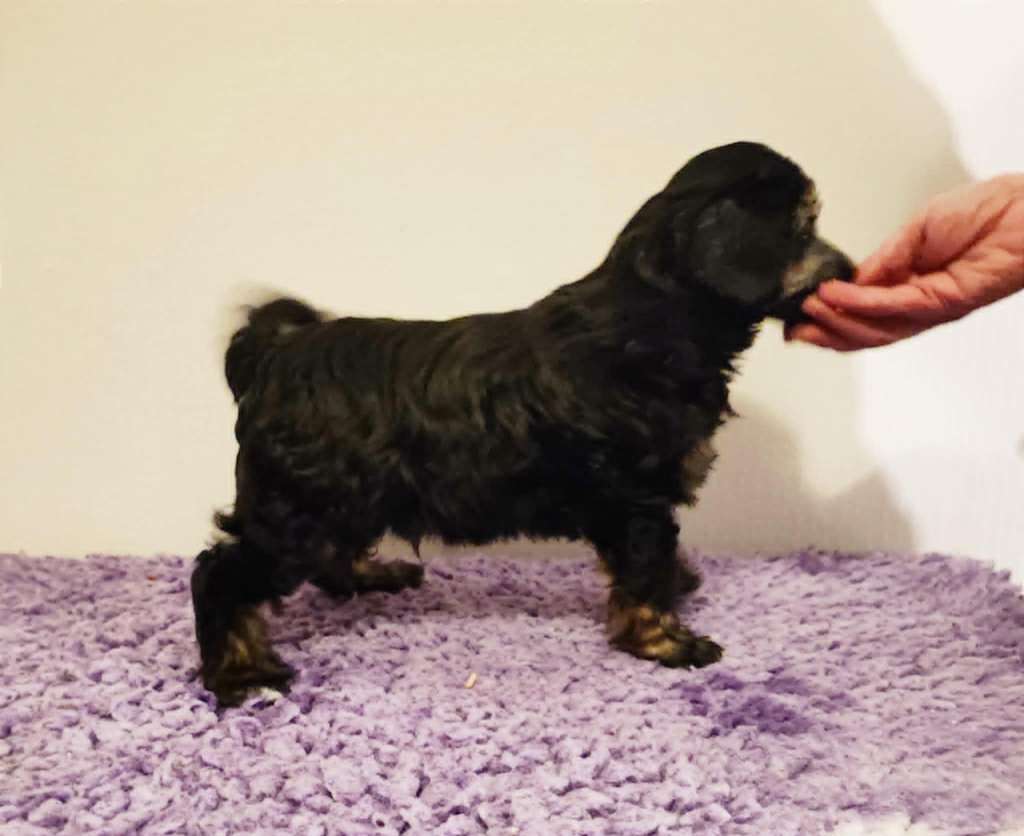 Black-Diva's Omg The Boss Is Back