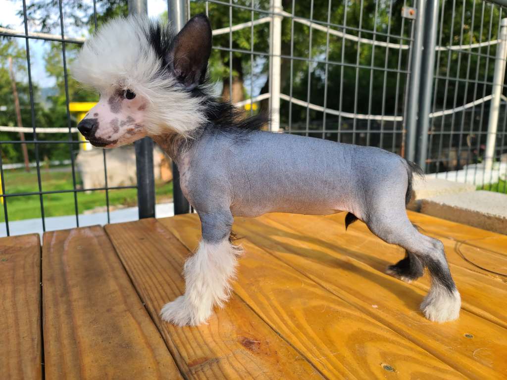 Long Haul's Pour Another Heartbreak