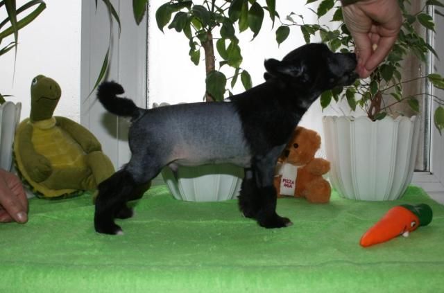 Tumen'Hills Indiana Jones