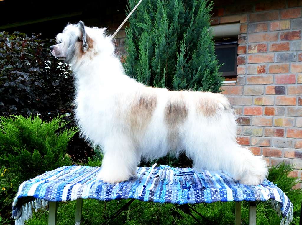 Etno Spirit  July  Morning