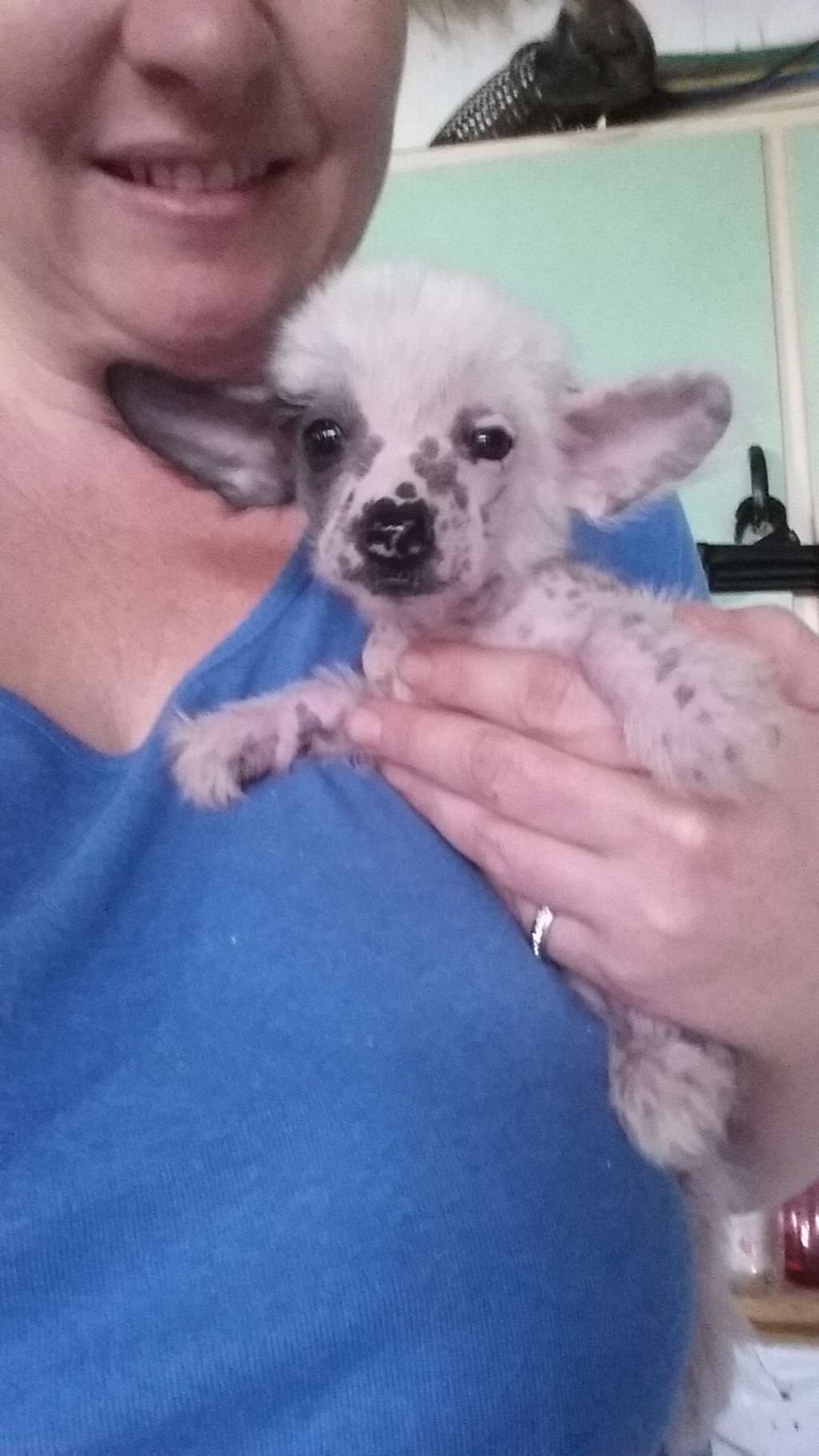 Entourage Maleficent