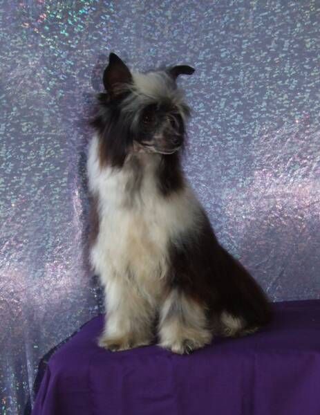 Whispering Lane Kiss Me At Midnight