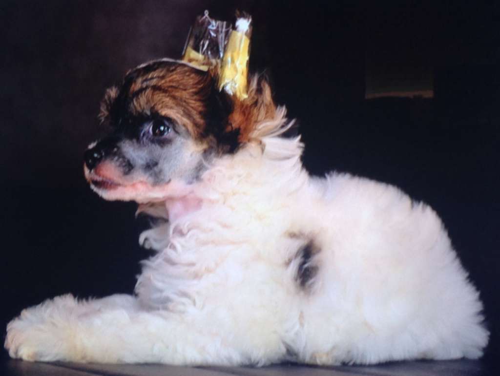 Razzmatazz de Perla y Diamante