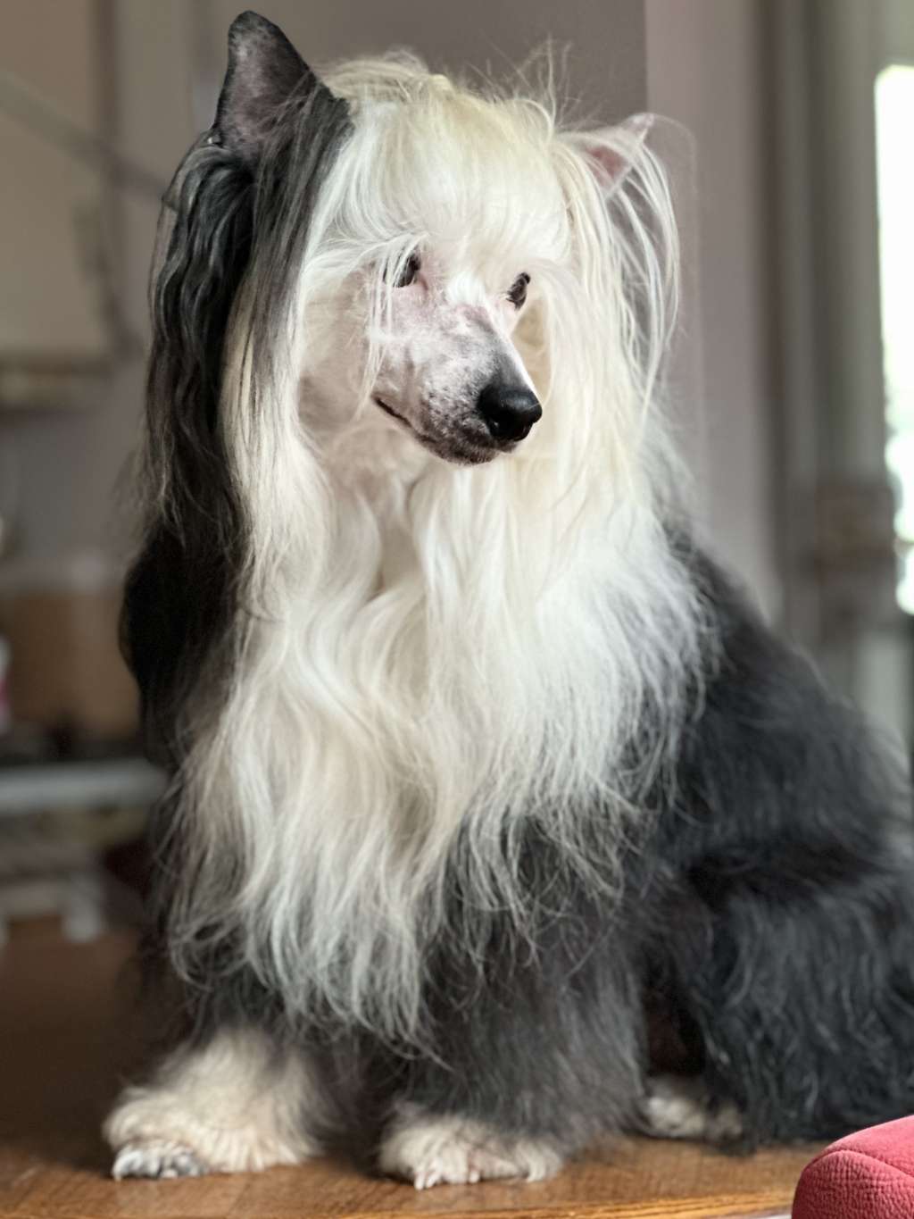 Flying Colors Any Way You Want It