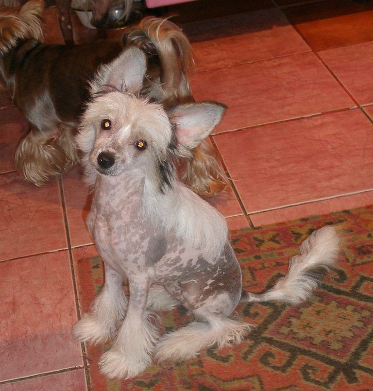 Olivija fon Butterfly 