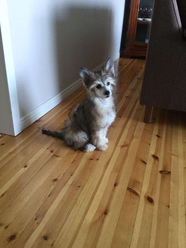 Pinky Twinky Nothing Else Matters