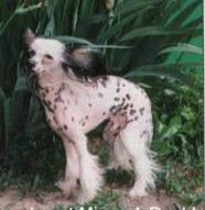 Angelcrest Mine's Double