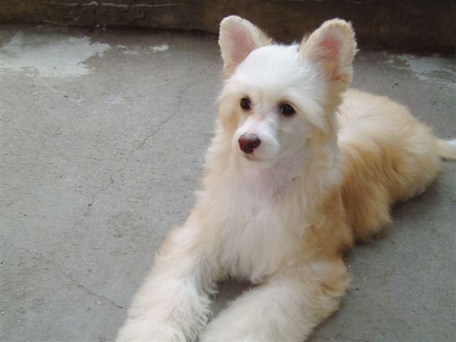 Picture