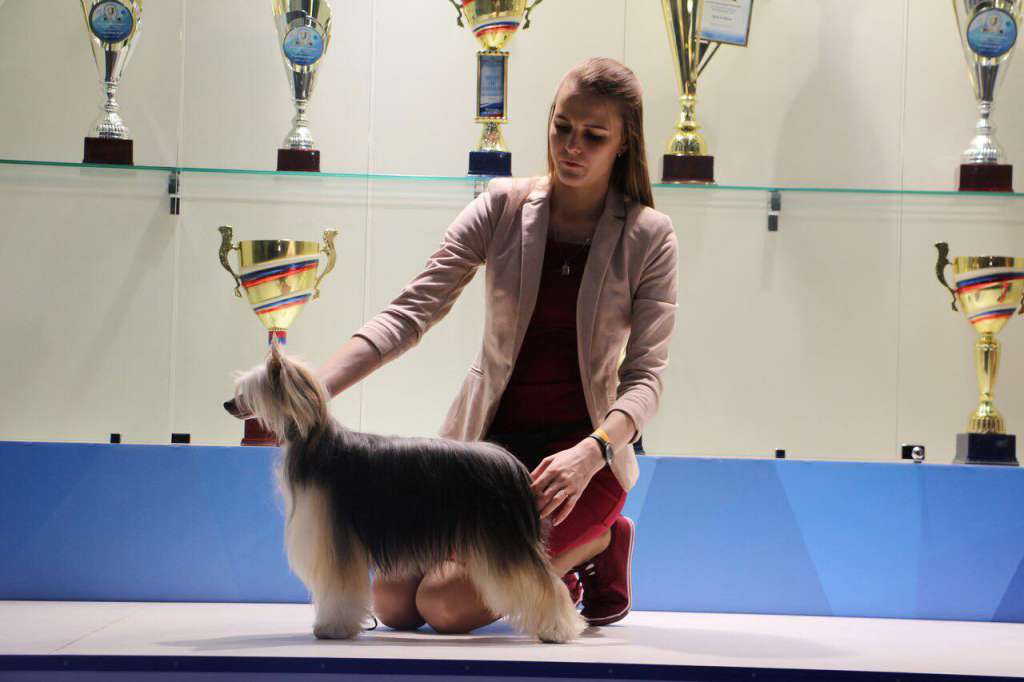 Olegro Katrin Iveriya