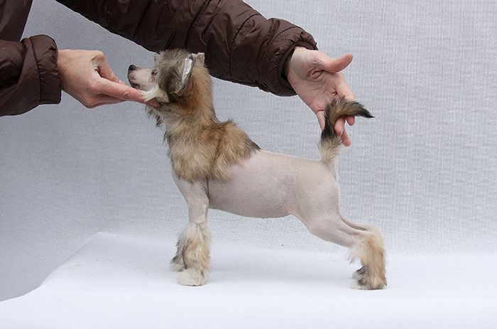 Olegro Katrin Sofiya