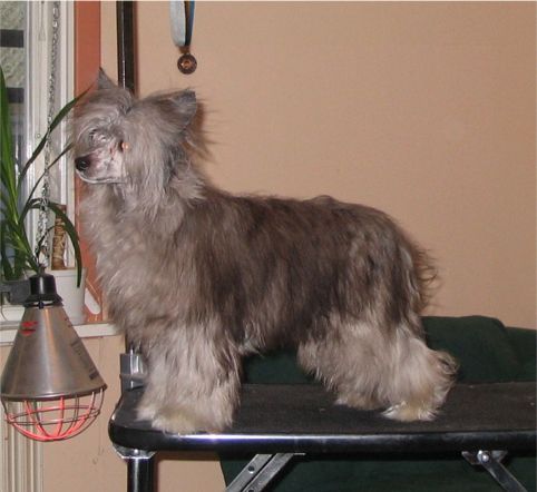 Spirit Of Mantra's Piraya