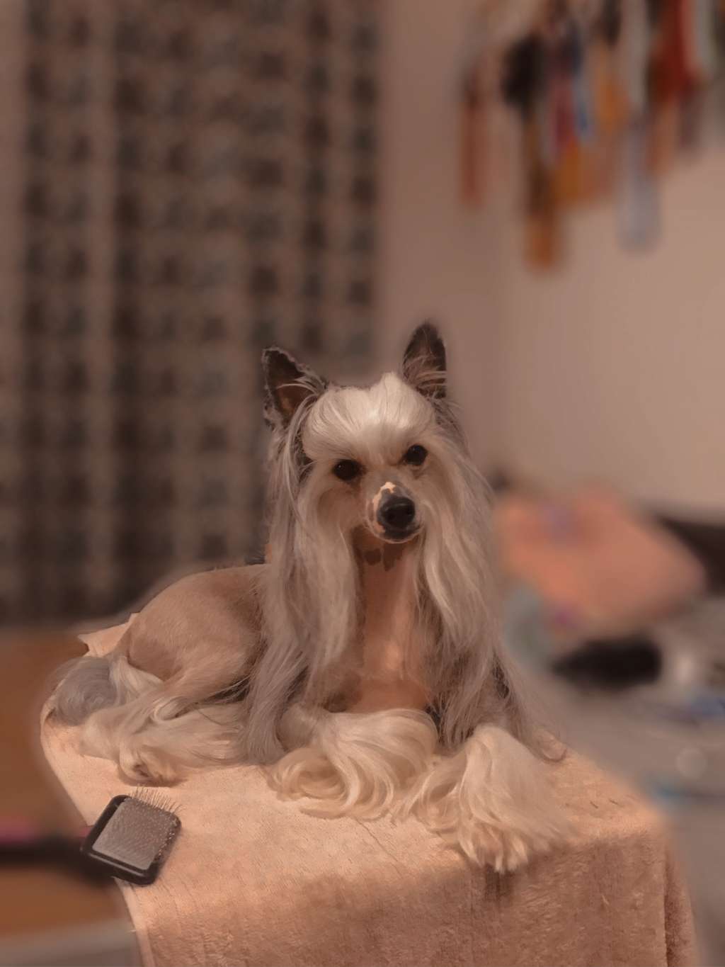 Jamie Oliver Di Rabozi