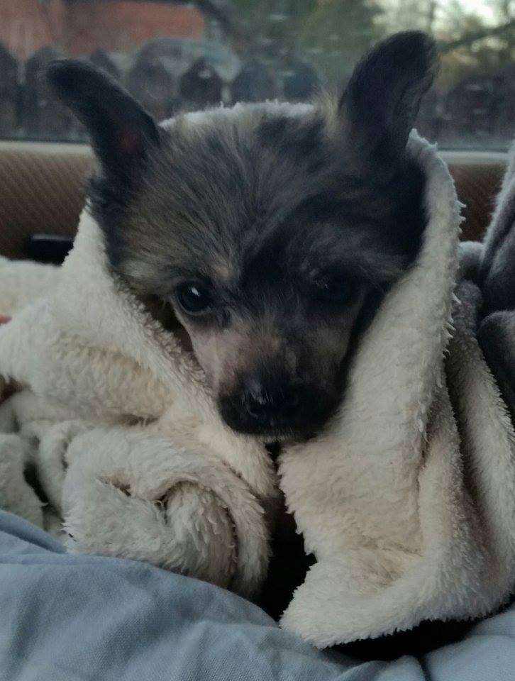 Black-Diva's Hey U Now I come