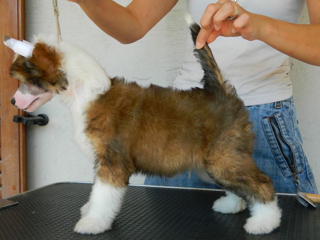 Megi Cupido Dio dell'Amore