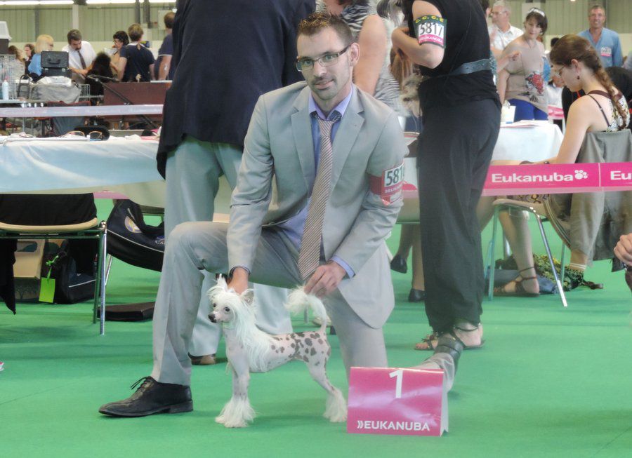 I'm A Magic Toon Du Coeur Des Tenebres