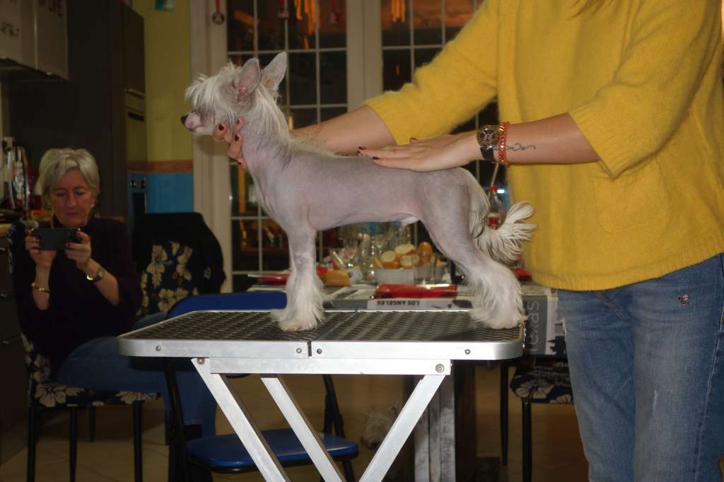 Jr. It. Ch. One More Story von Shinbashi