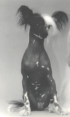 Nabokov's China Chess