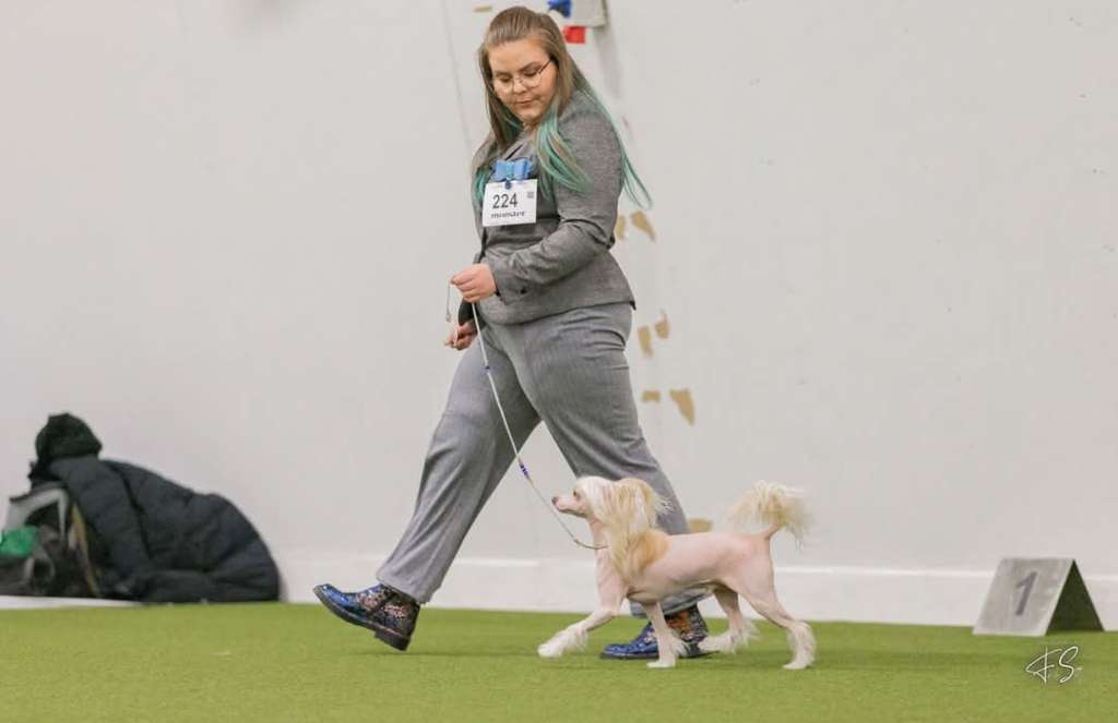 Timanttiliigan Marcus