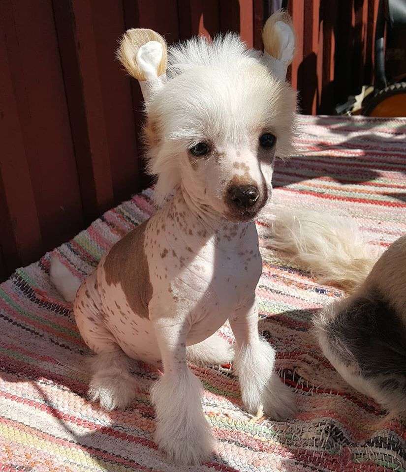 Spotifly Friday On My Mind