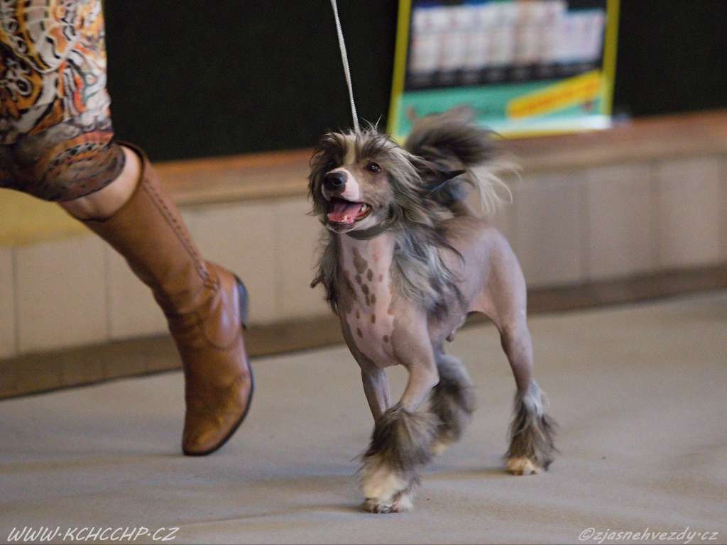 Follow Flip-Flop Z Valdorfskych lesu