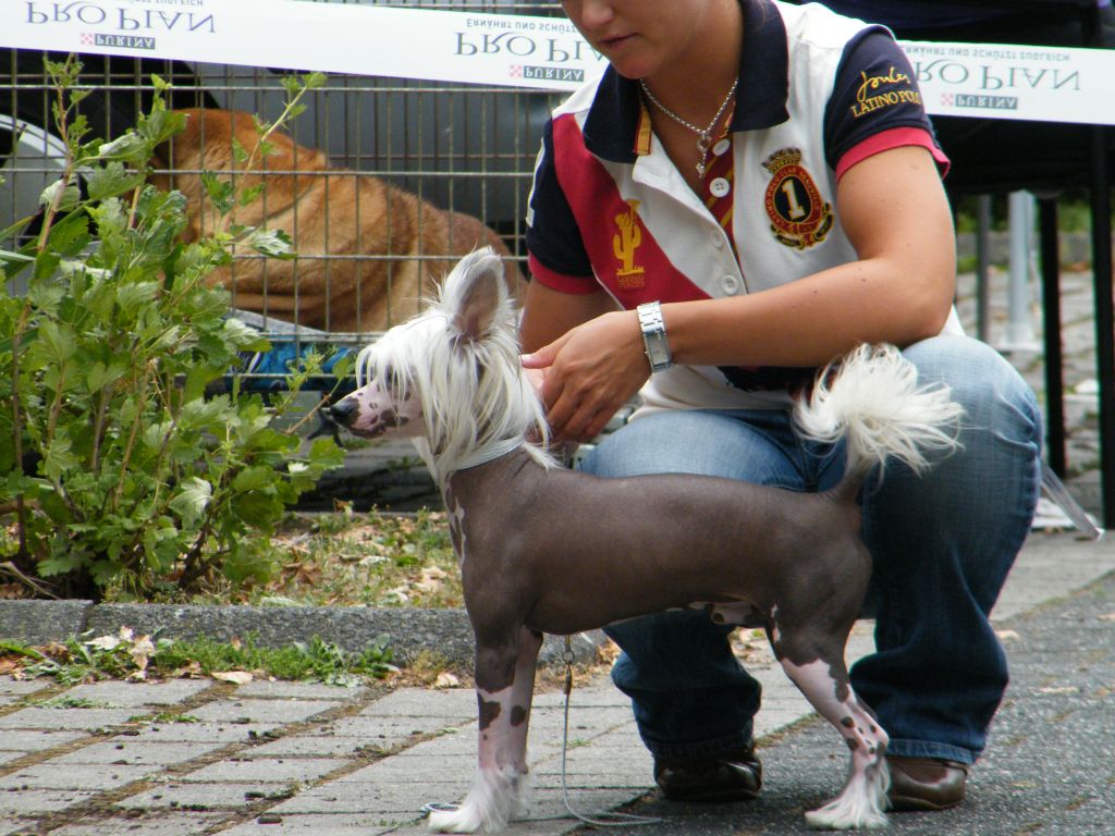 Picture