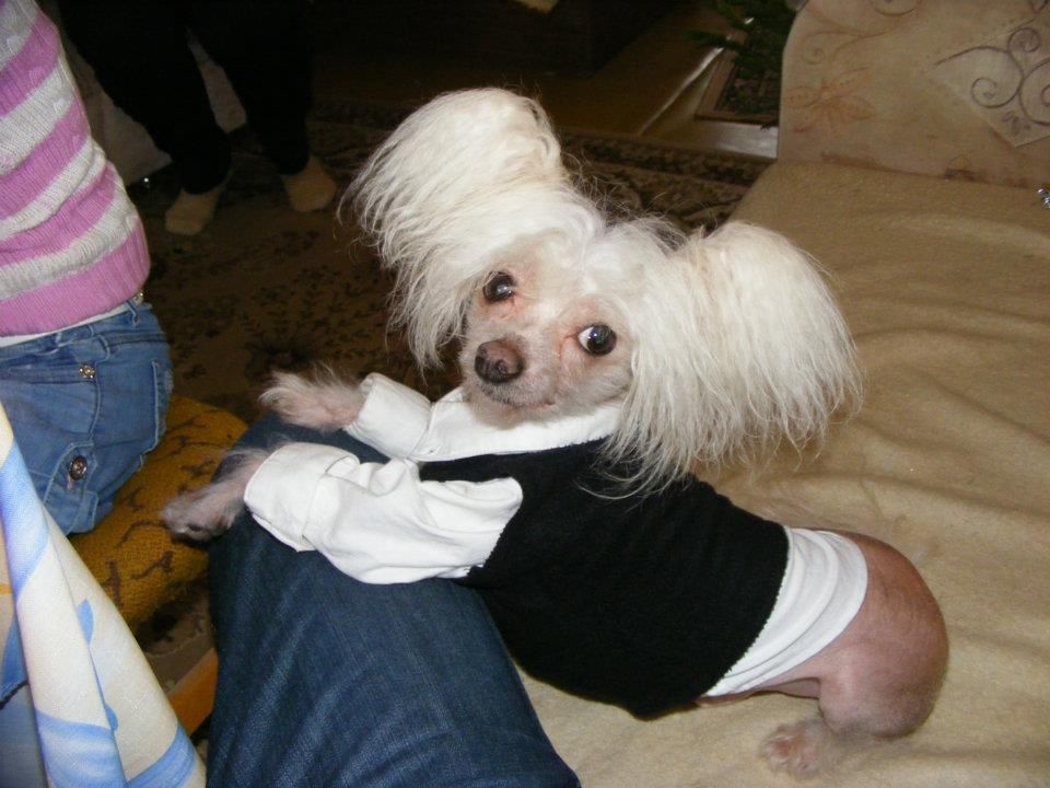 Puha-Luxus Porcelán Álom