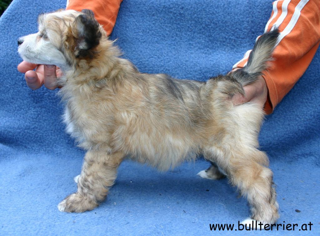 Laureola's Unlimited Fantasy