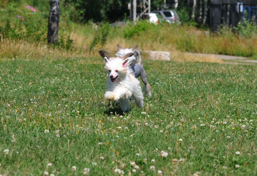 Grand Sunlife Sierra Tequila