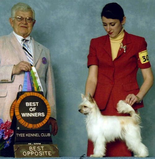 Kalypso's Neverending Story 