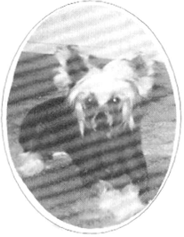 Keshar's Lilla Vackra Anna