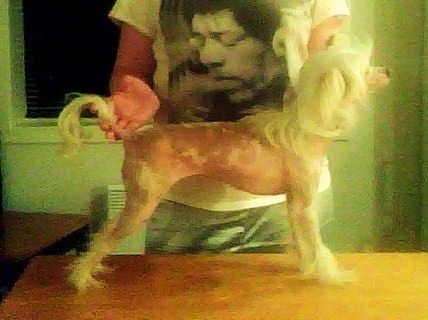Picture