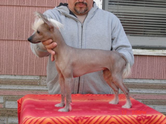 Hi-Life Siruis I Kissed A Girl