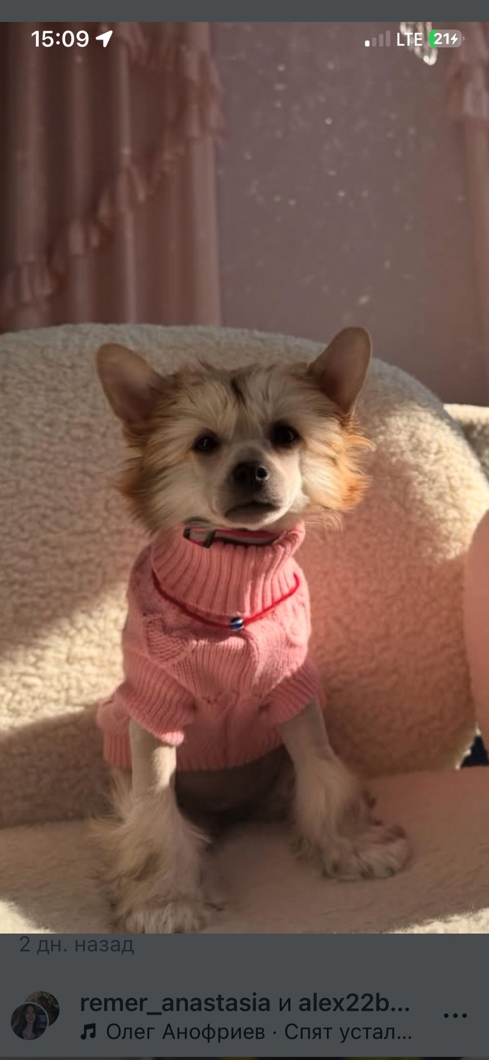 Rolana Family Aice And Fire