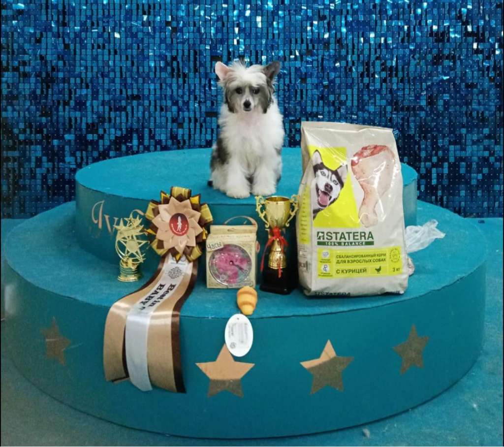 Rolana Family Nirvana