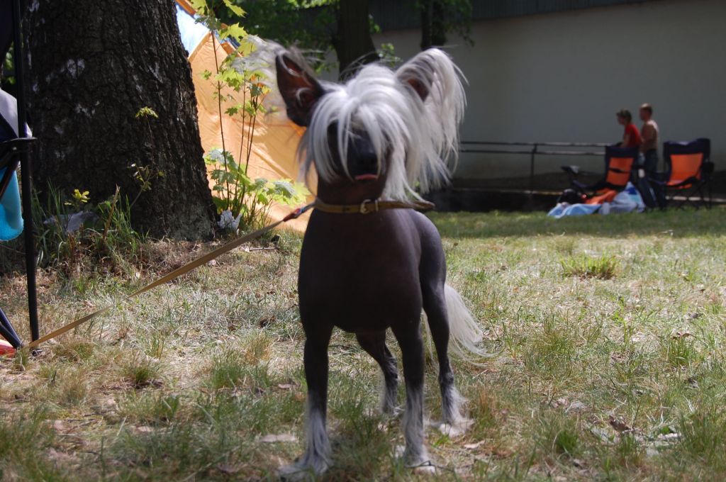 Don Juan z Lubuskiej Wsi