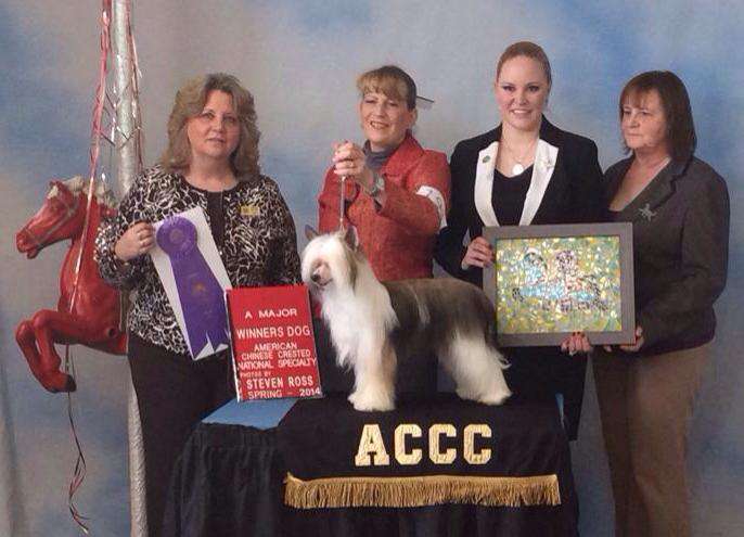 Famous Always in The Spotlight