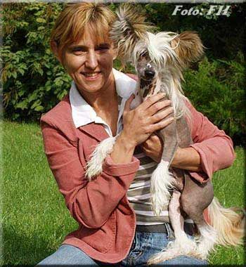 Gorblimey Of Avokaduh