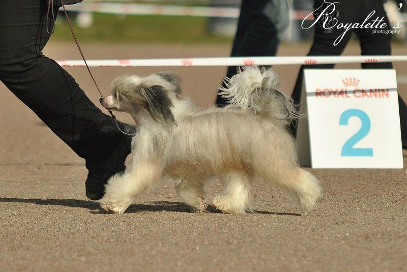 Picture