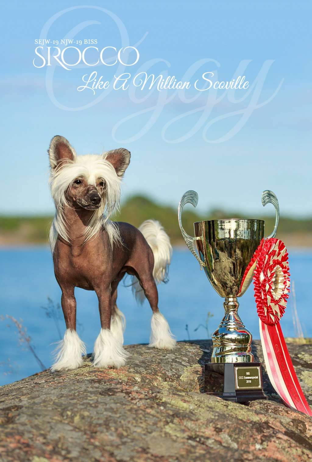 Sirocco Like A Million Scoville