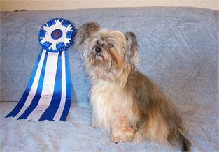 Gingery's Phenomenon