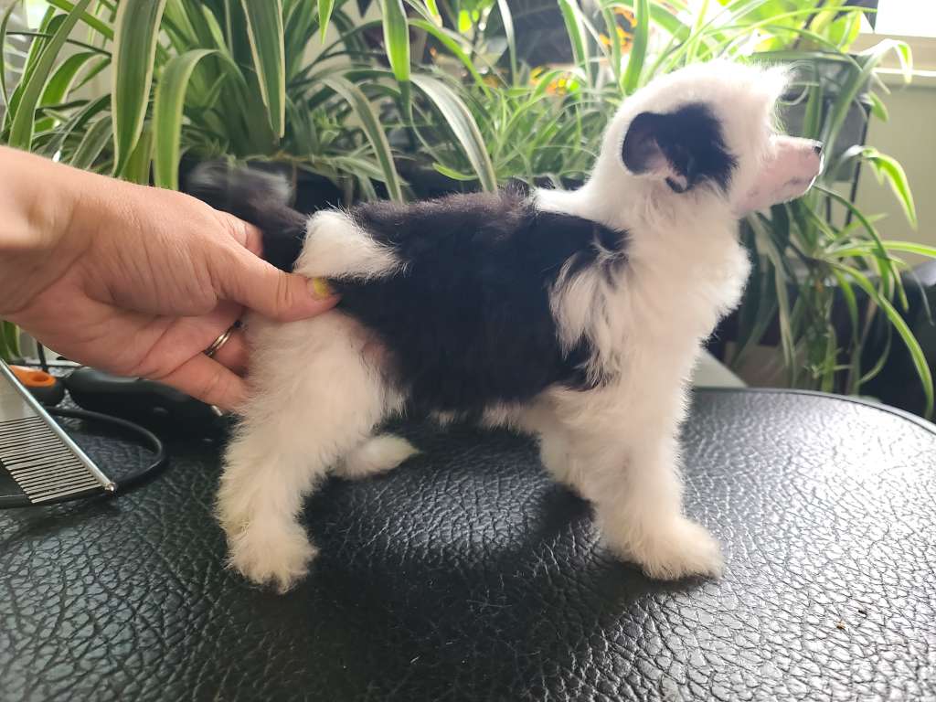 Long Haul's Legacy Unleashed