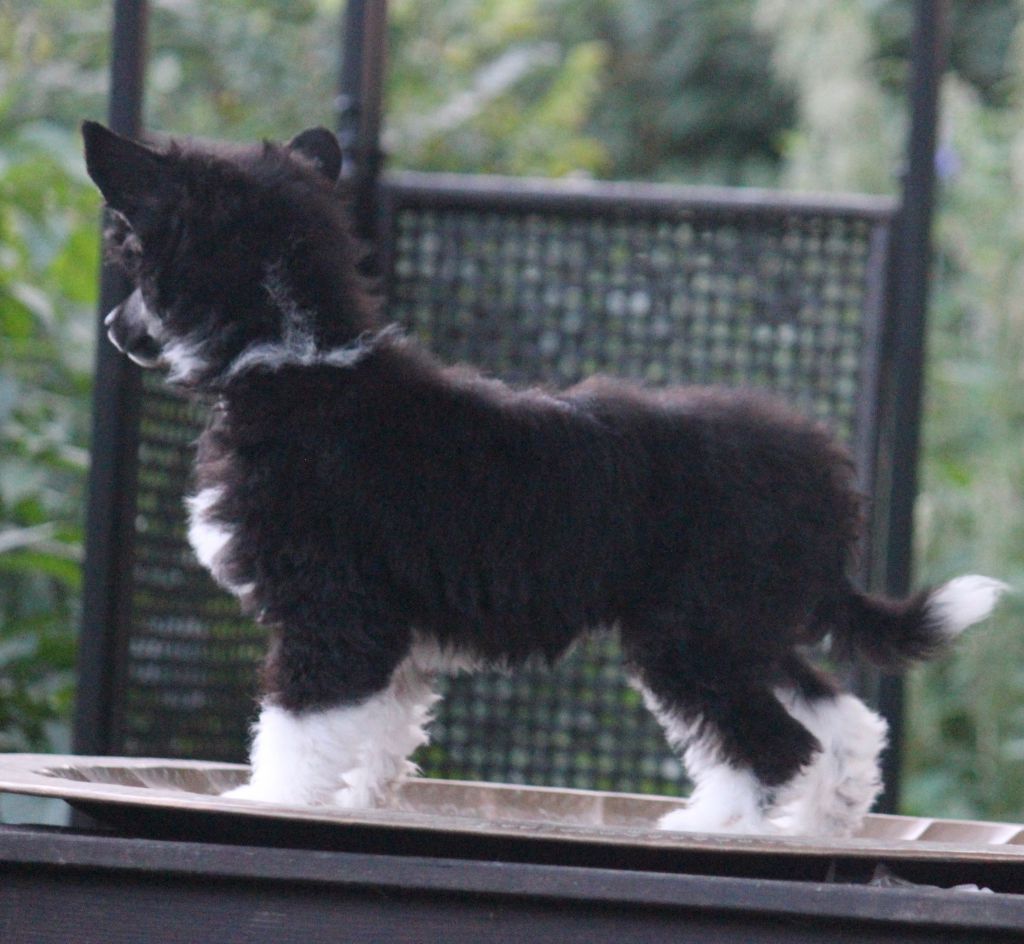 Blendverk's Dreadlock Holiday