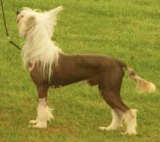 Doucai's Naughty Nite