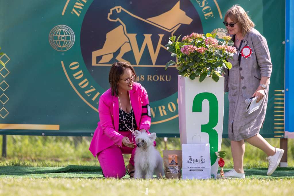 Pallas Athena Avokaduh