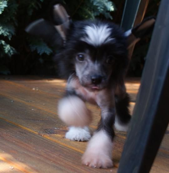 Mana's Secret's Freaky like me