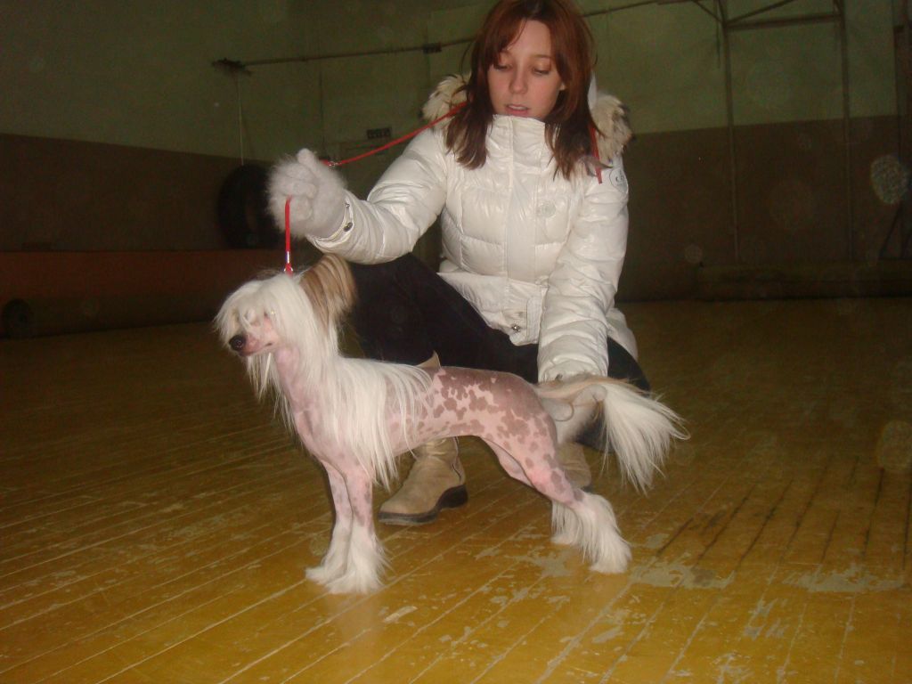 Kristal Yaniry Vassabi