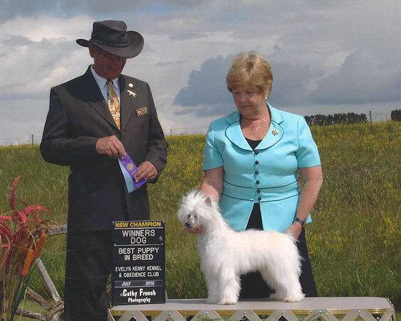 Can GRCH WillowGlyn Bo Levi