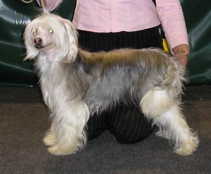 Sakladir Slodkie Marzenie