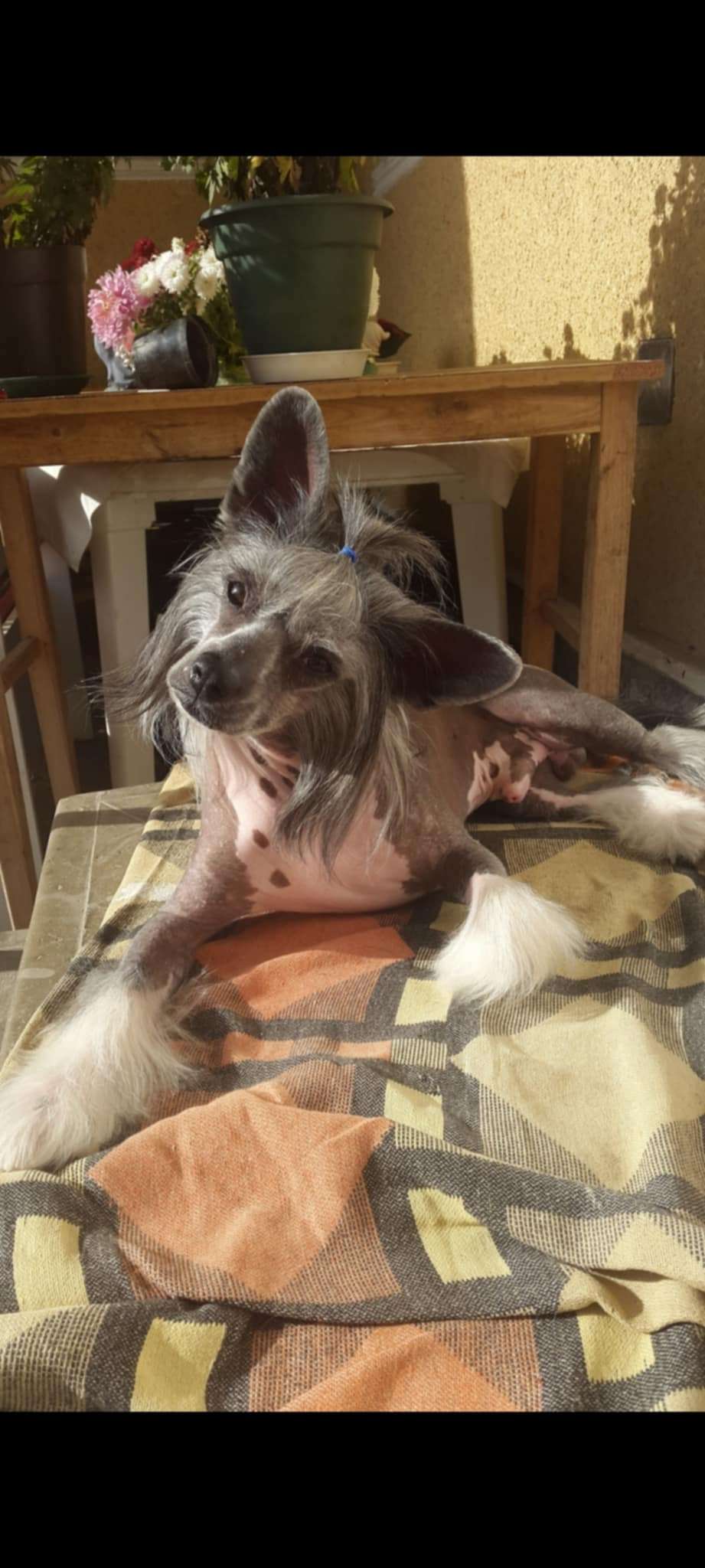 Fundoklia-völgyi Kaszanics O'Nestor