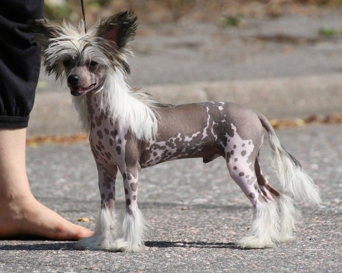 Noway's It's a Wonderful Lie